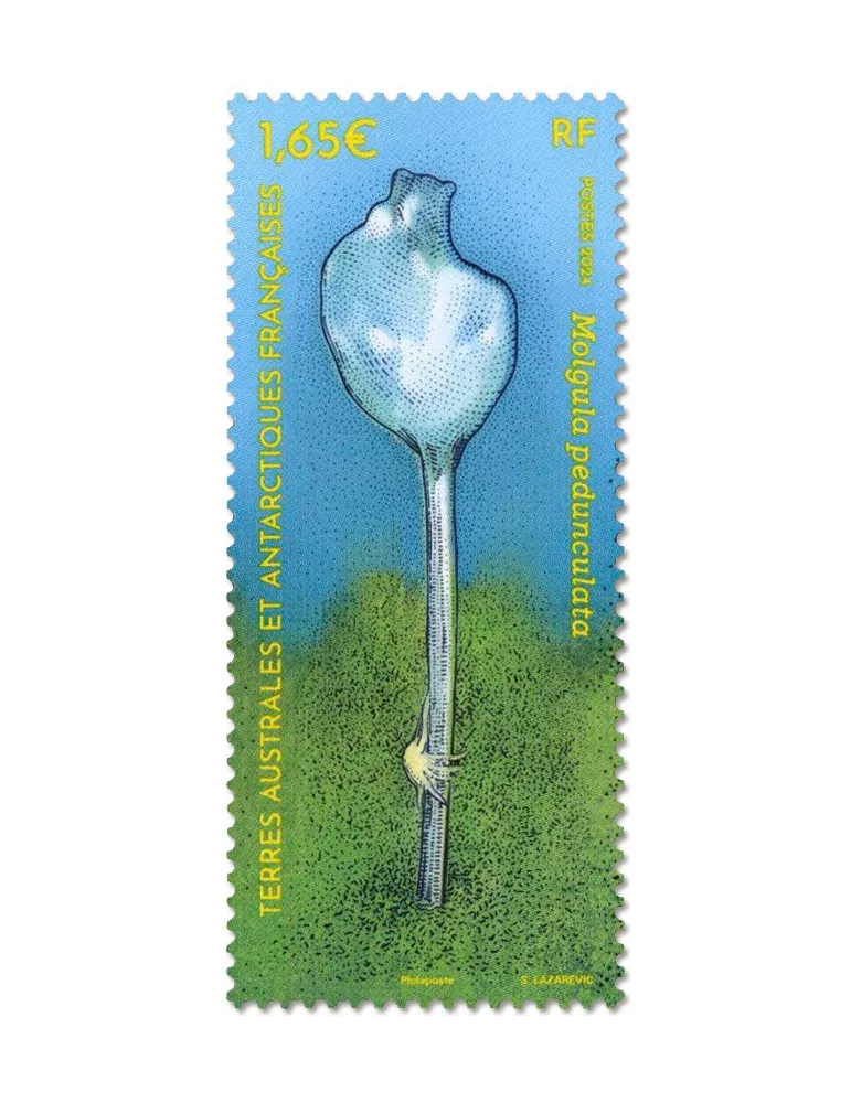 n° F1081 - Timbre TAAF Poste