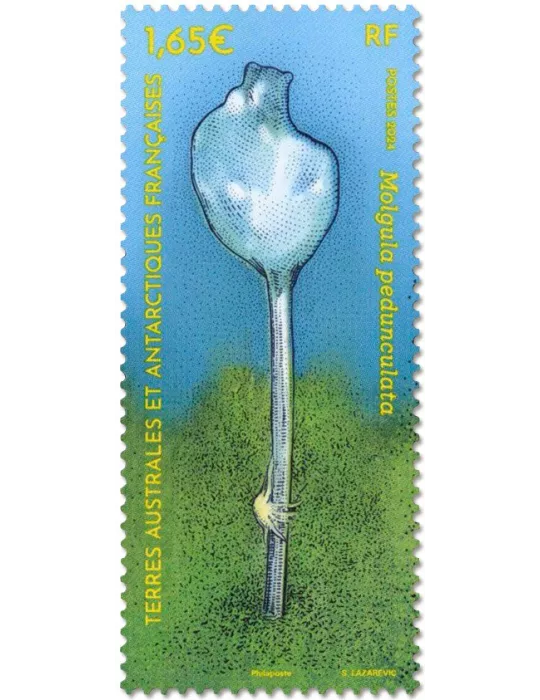 n° F1081 - Timbre TAAF Poste