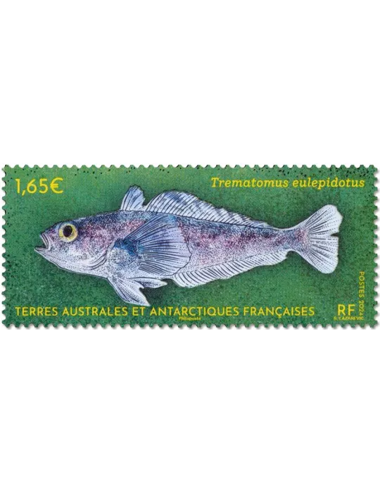 n° F1081 - Timbre TAAF Poste