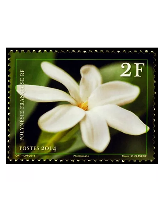 n° 1076 - Timbre Polynésie Poste