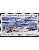 n° 739 - Timbre TAAF Poste