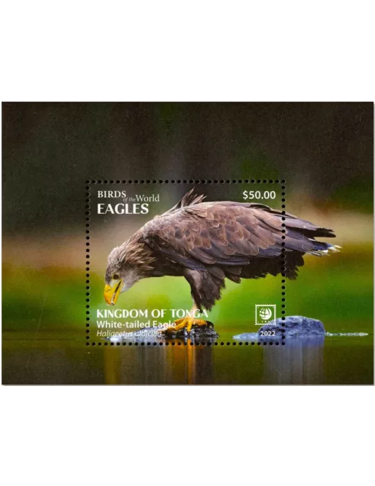 n° 128/131 - Timbre TONGA Blocs et feuillets