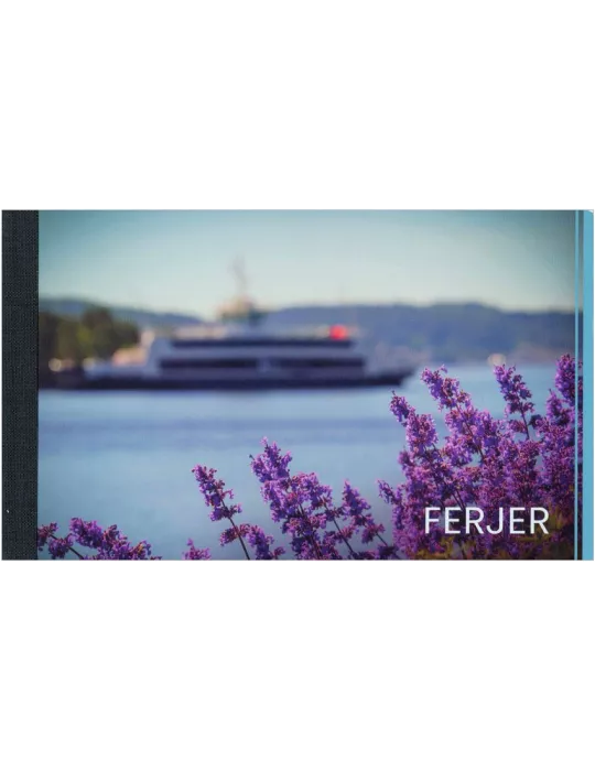 n° C2050 - Timbre NORVEGE Carnets