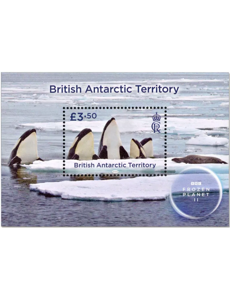 n° 31 - Timbre ANTARCTIQUE BRITANNIQUE Blocs et feuillets