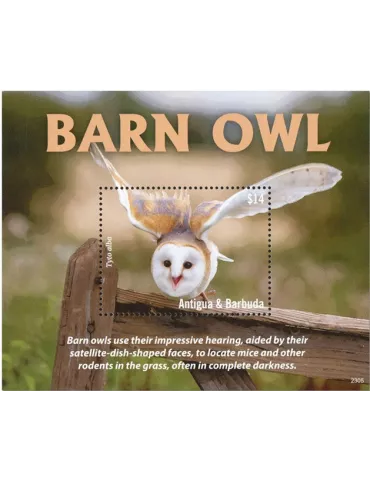 n° 836 - Timbre ANTIGUA Blocs et feuillets