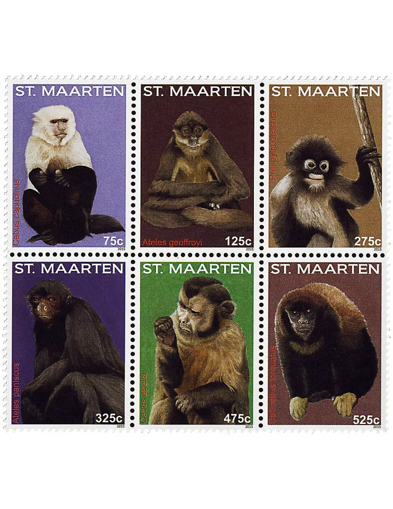 n° 347 - Timbre SAINT-MARTIN Poste