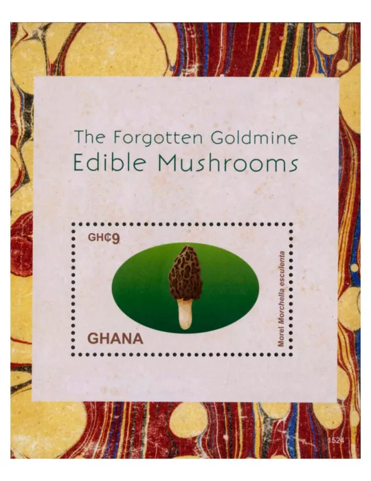 n° 539 - Timbre GHANA Blocs et feuillets