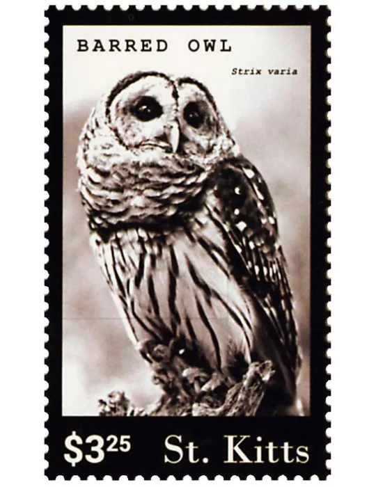 n° 1705 - Timbre SAINT-CHRISTOPHE Poste