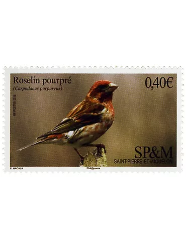 n°1148 - Timbre Saint-Pierre et Miquelon Poste