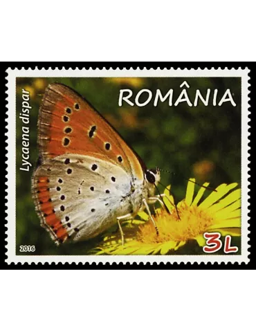 n° 6005 - Timbre ROUMANIE Poste