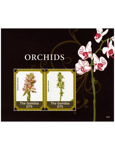 n° 853 - Timbre GAMBIE Blocs et feuillets