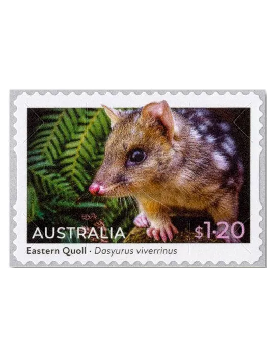n° 5335a/5336a (la paire) - Timbre AUSTRALIE Poste