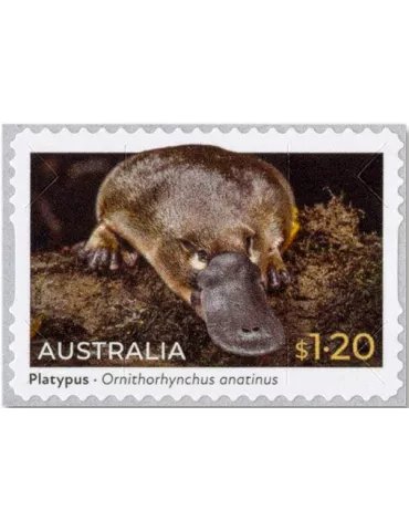 n° 5335a/5336a (la paire) - Timbre AUSTRALIE Poste 2