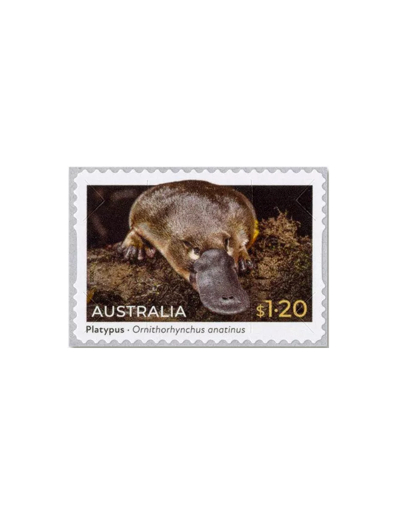 n° 5335a/5336a (la paire) - Timbre AUSTRALIE Poste
