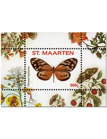 n° 5/16 - Timbre SAINT-MARTIN Blocs et feuillets