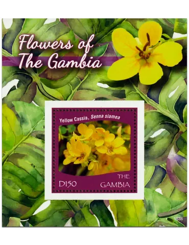 n° 868 - Timbre GAMBIE Blocs et feuillets