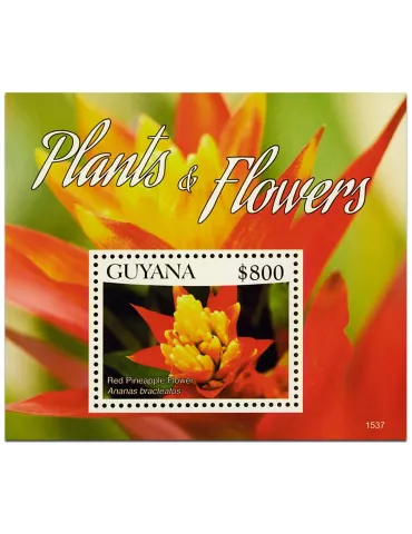 n° 634 - Timbre GUYANA Blocs et feuillets