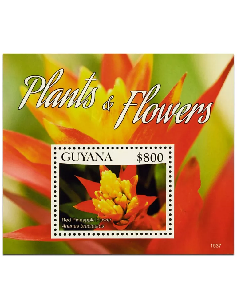 n° 634 - Timbre GUYANA Blocs et feuillets