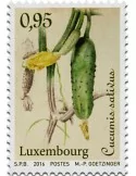 n° 2039 - Timbre LUXEMBOURG Poste