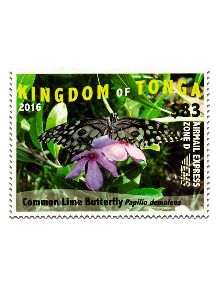 n° 1464A - Timbre TONGA Poste