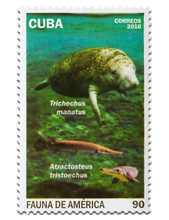 n° 5464A/5464D - Timbre CUBA Poste