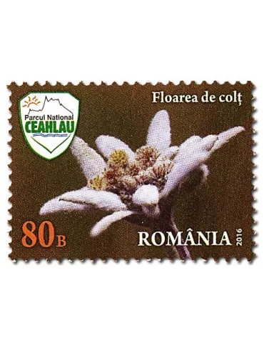 n° 6047 - Timbre ROUMANIE Poste