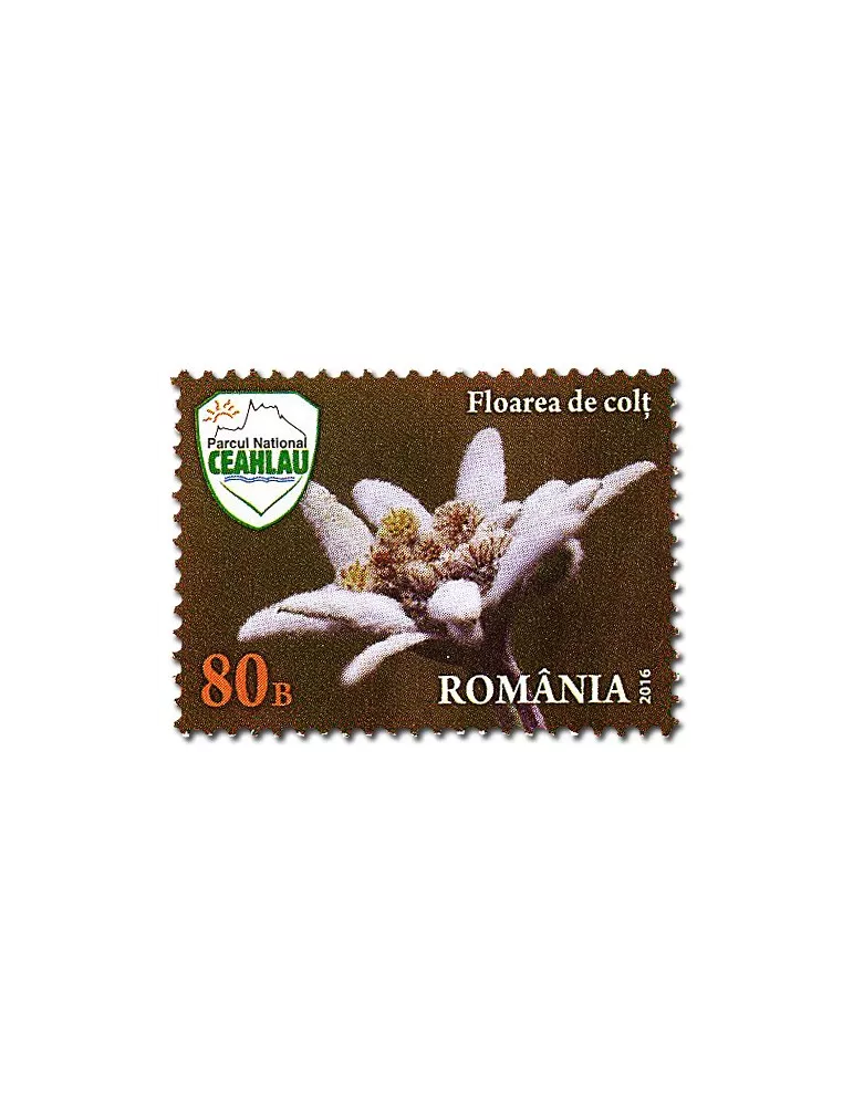 n° 6047 - Timbre ROUMANIE Poste