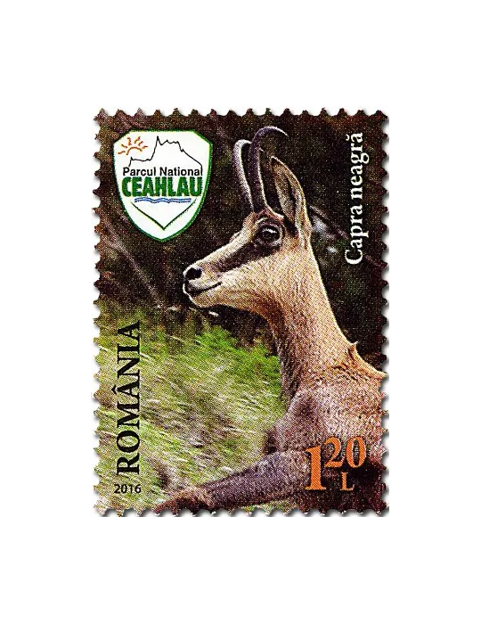 n° 6047 - Timbre ROUMANIE Poste