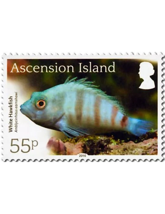 n° 1171 - Timbre ASCENSION Poste