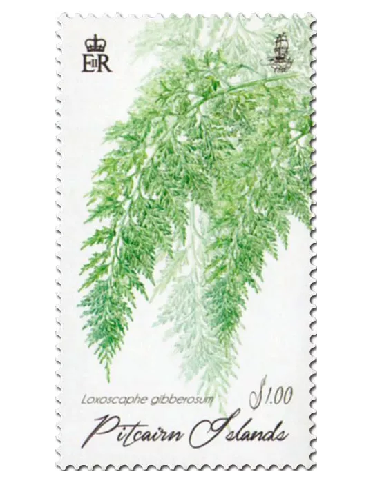 n° 883 - Timbre PITCAIRN Poste