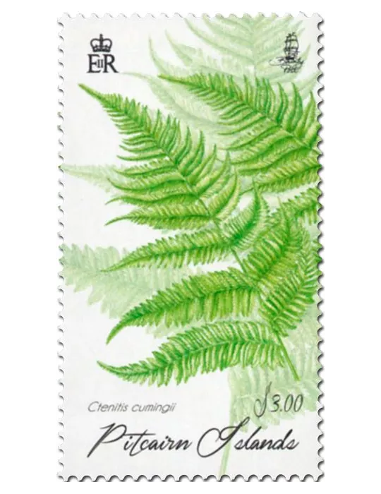 n° 883 - Timbre PITCAIRN Poste