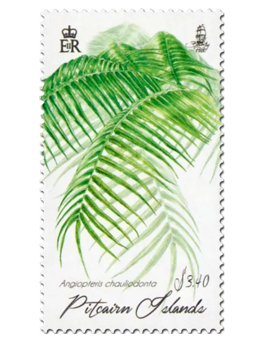 n° 883 - Timbre PITCAIRN Poste