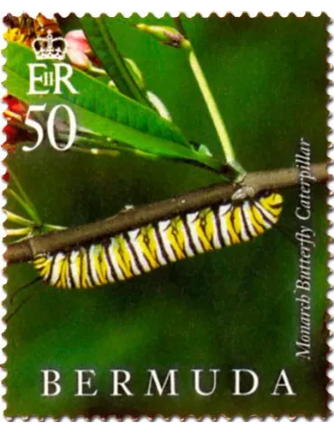 n° 1128 - Timbre BERMUDES Poste