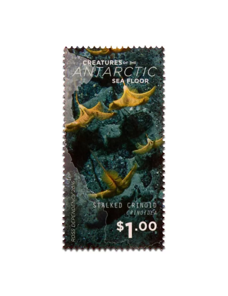 n° 156/160 - Timbre ROSS Poste