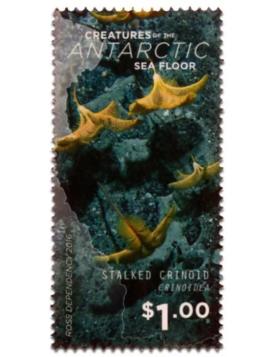 n° 156/160 - Timbre ROSS Poste