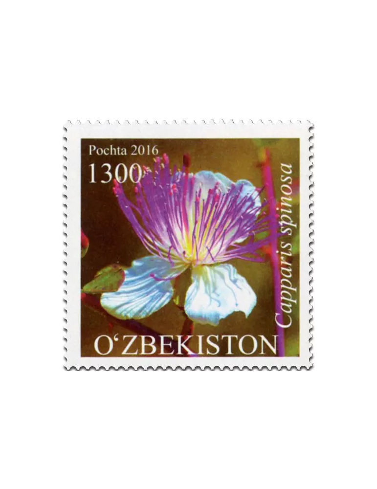 n° 992 - Timbre OUZBEKISTAN Poste