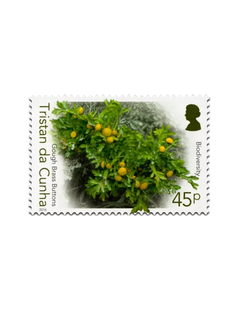 n° 1158 - Timbre TRISTAN DA CUNHA Poste