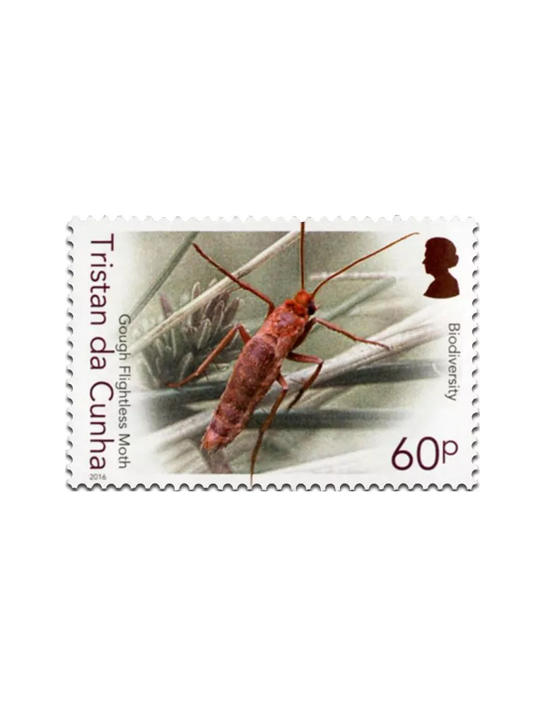 n° 1158 - Timbre TRISTAN DA CUNHA Poste