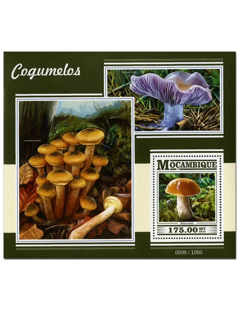 n° 993 - Timbre MOZAMBIQUE Blocs et feuillets