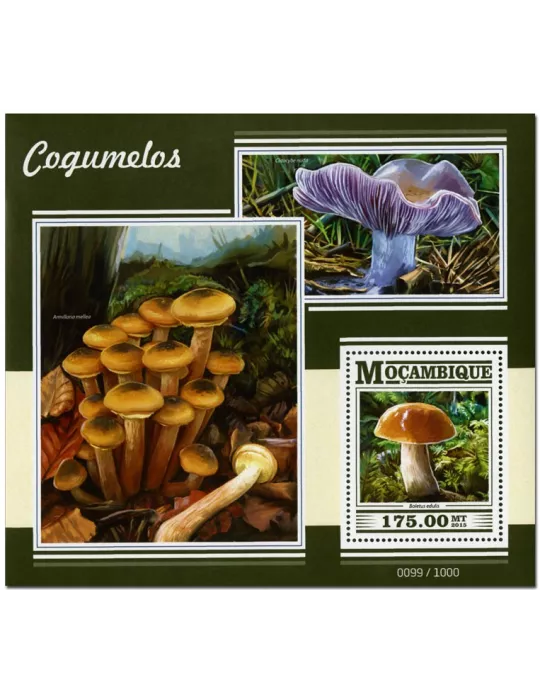 n° 993 - Timbre MOZAMBIQUE Blocs et feuillets