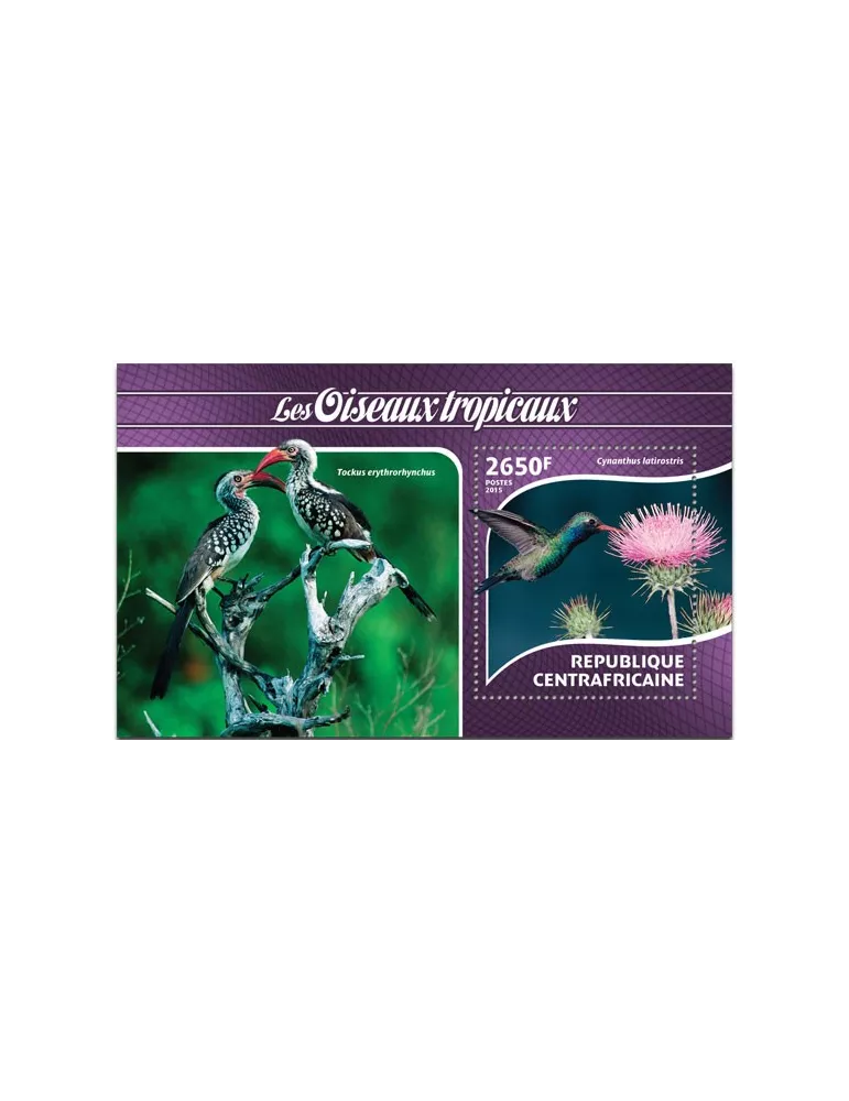 n° 806 - Timbre CENTRAFRIQUE Blocs et feuillets