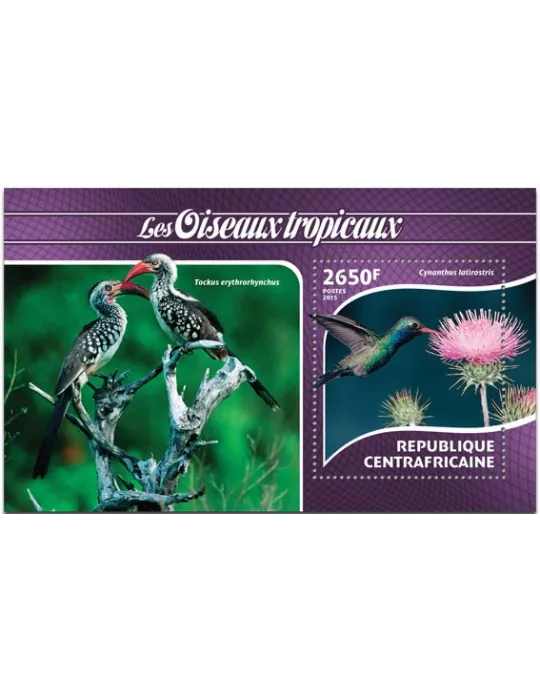 n° 806 - Timbre CENTRAFRIQUE Blocs et feuillets