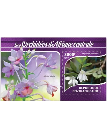 n° 809 - Timbre CENTRAFRIQUE Blocs et feuillets