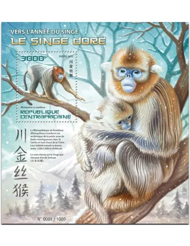 n° 907 - Timbre CENTRAFRIQUE Blocs et feuillets