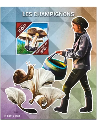 n° 494 - Timbre NIGER Blocs et feuillets