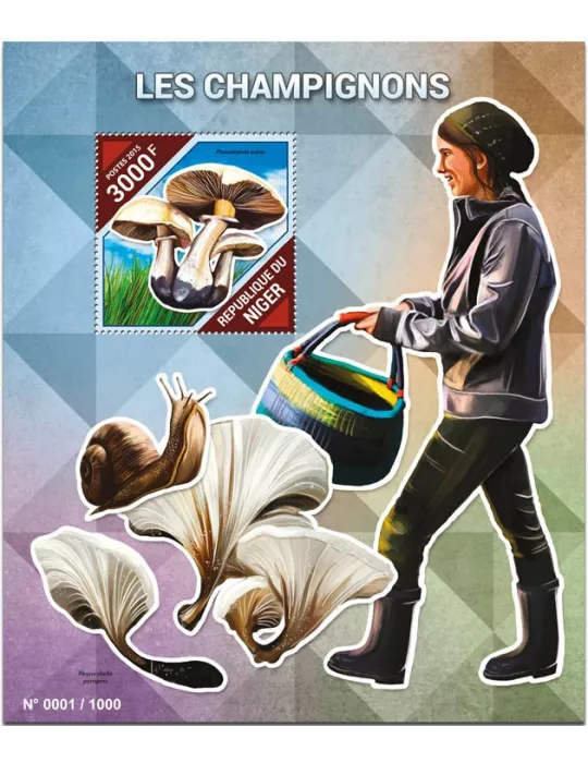 n° 494 - Timbre NIGER Blocs et feuillets