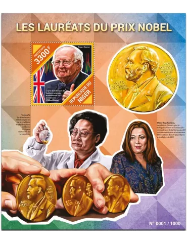 n° 496 - Timbre NIGER Blocs et feuillets