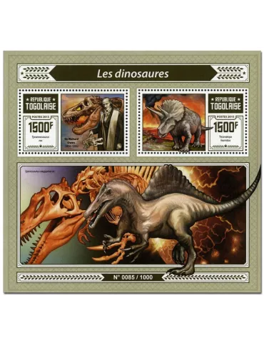 n° 1068 - Timbre TOGO Blocs et feuillets