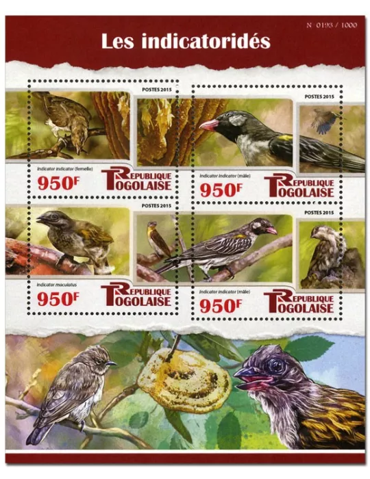 n° 4790 - Timbre TOGO Poste