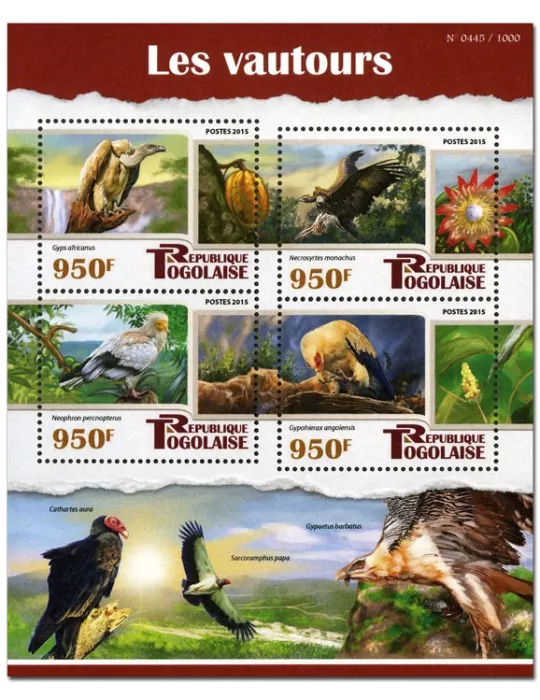 n° 4810 - Timbre TOGO Poste